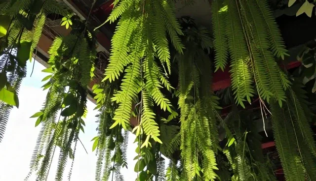 视频剪辑中文案创作的性能表现与适用场景分析